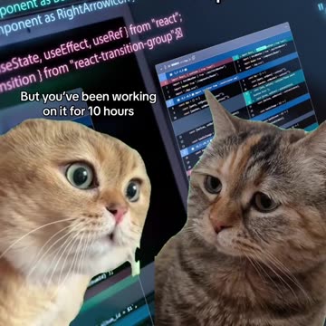 Developer Talk: How We Bring Your Website Ideas to Life 🌐💡