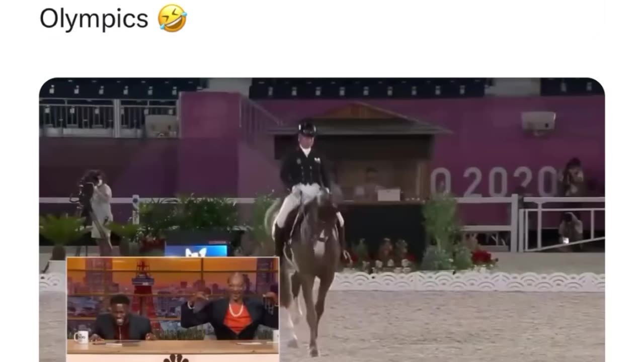 Brilliant 😂