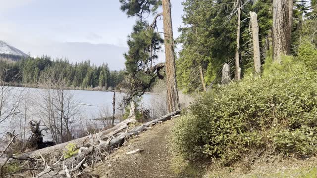 The Spring Hiking Triad for the Santiam Pass Area – Suttle Lake – Central Oregon – 4K