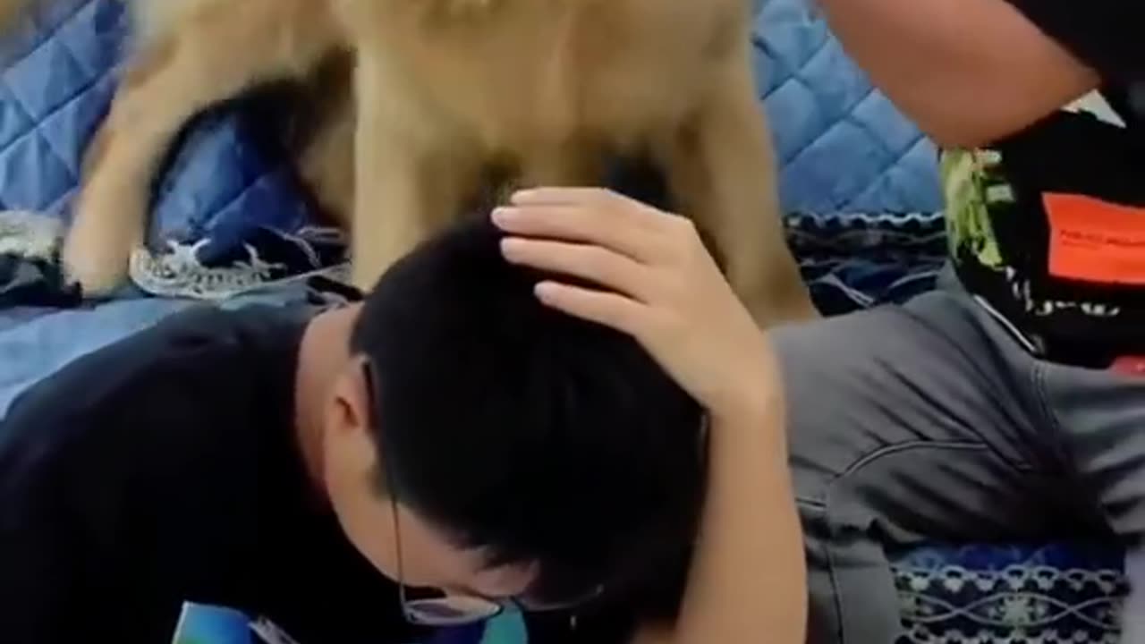 dog beat child for reading 😀