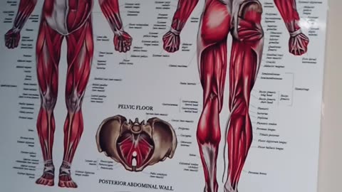 Inflammation! Let's fight it!