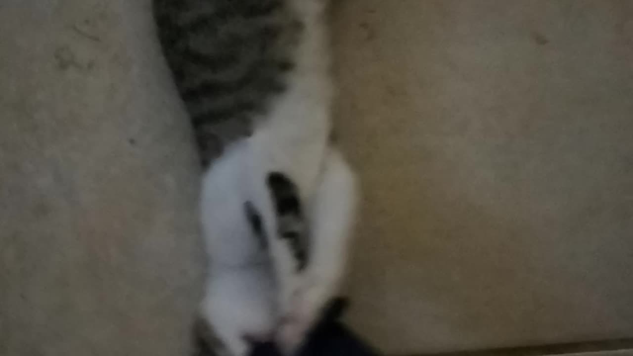 Jim and Button wrestling