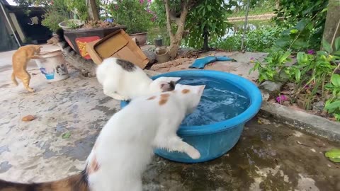 Cute 🥰