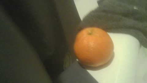 Annoying Orange E. 3: Annoying Orange takes a bath