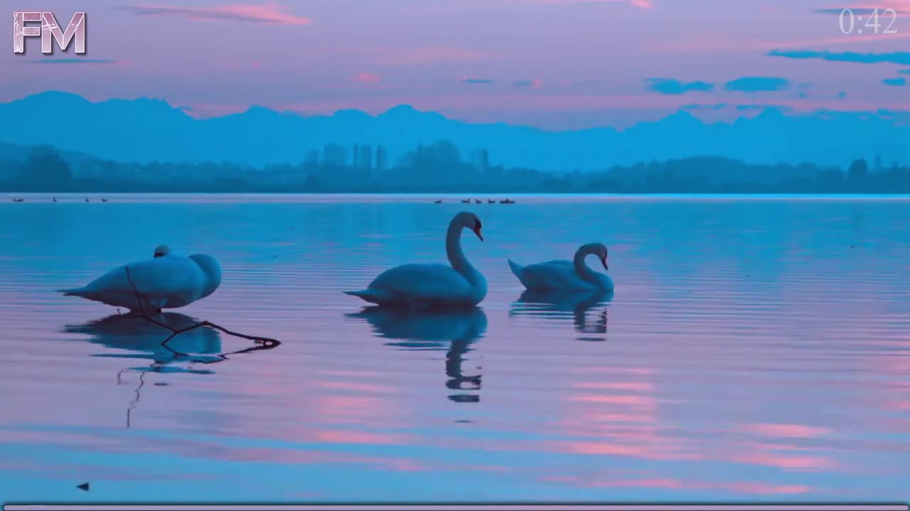 Spring and Classic Music for meditation and study