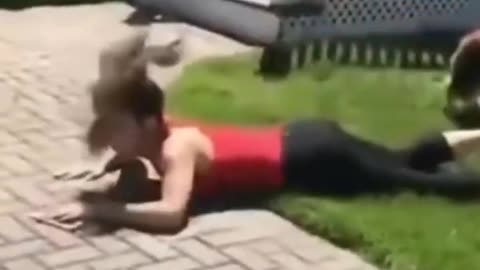 Funny Animals Videos try not to LAUGH