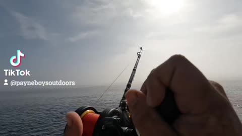 Deep drop fishing trip
