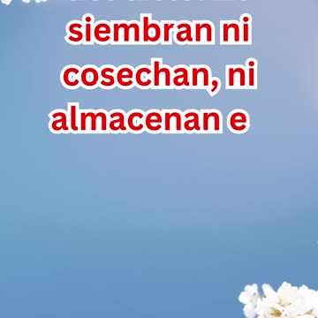 "El Cuidado de Dios: Observa las Aves" Mateo 6:26.#shorts #shortsvideo #youtubeshorts #youtube #yt