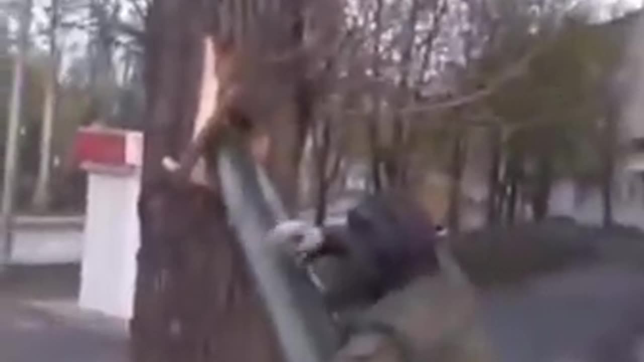 russian Tank Gets Stuck In Tree