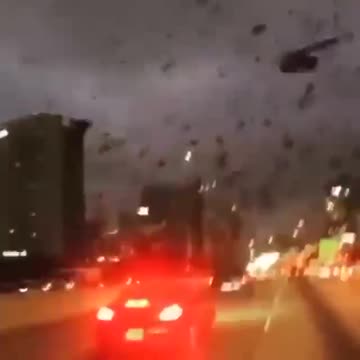 Thousands of Crows in the Skies Above Kyiv, Ukraine | Harbingers of Death (1/23/2023)