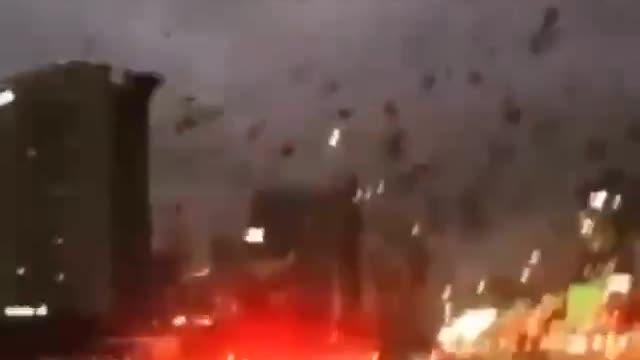 Thousands of Crows in the Skies Above Kyiv, Ukraine | Harbingers of Death (1/23/2023)