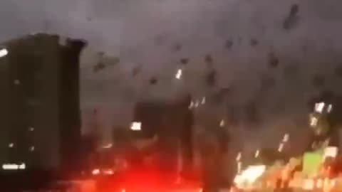 Thousands of Crows in the Skies Above Kyiv, Ukraine | Harbingers of Death (1/23/2023)