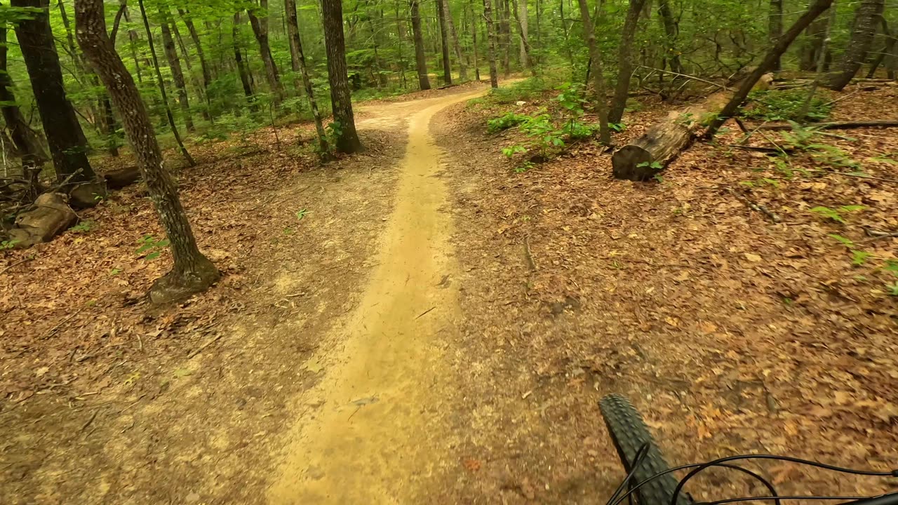 Fast Downhills = Broken Toe | DuPont State Recreational Forest