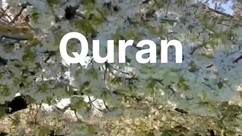 Quran Urdu Tarjuma// Islamic Vedios