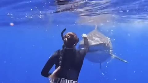 This woman is calmly demonstrating what to do when face to face with a shark