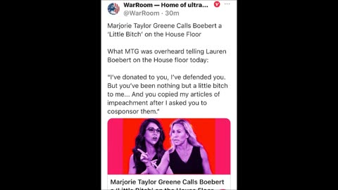 Little Bitch