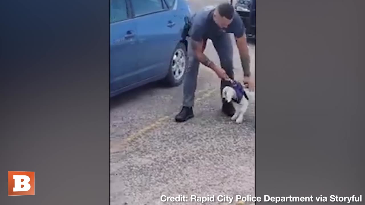 Truly the GOAT! Rapid City Police Test Out DRUG-SNIFFING GOAT