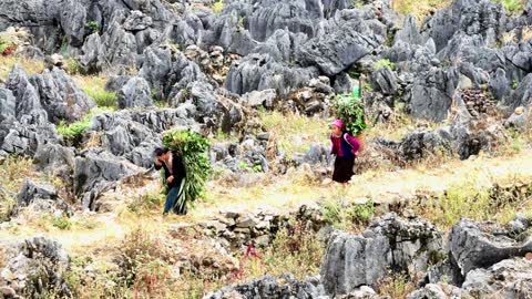 Vietnam Motorbike Tour Expert