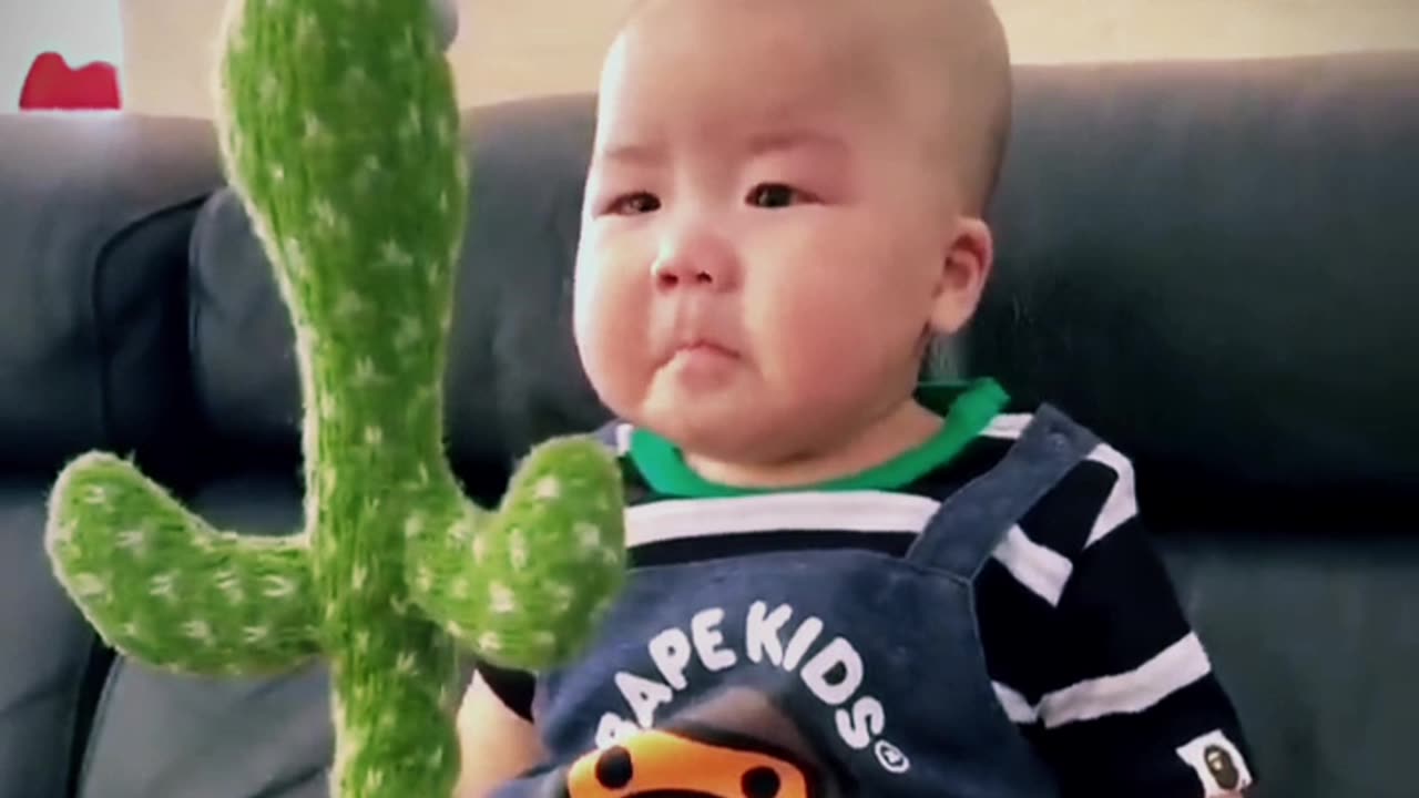 Cute Babies Playing with Dancing Cactus