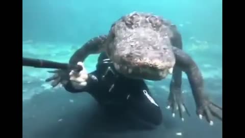 Overcome your fear and you can surprise this world!