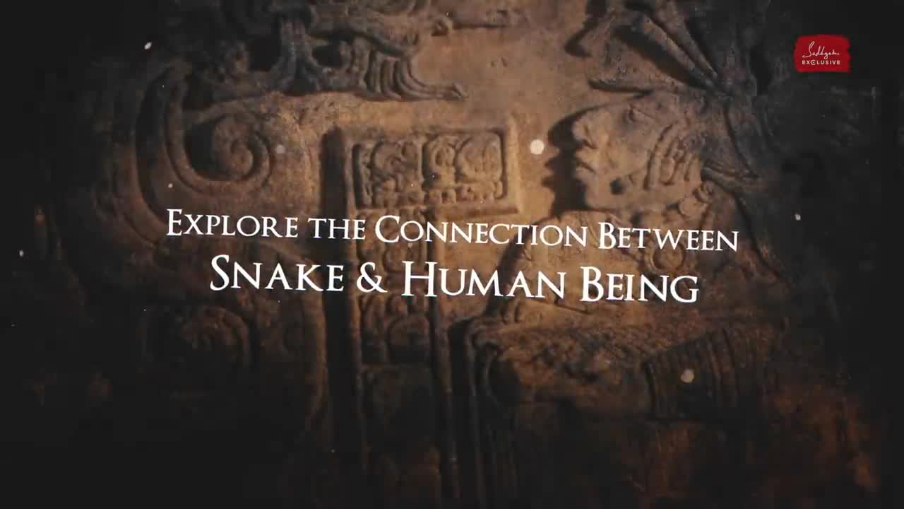 Serpent Science The Truth about Snakes' Impact on Your Life Sadhguru Exclusive #NagaDosha