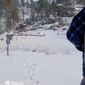 Gun Free vs. Gun FREE Zone