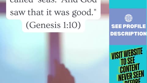 Daily Bible Verse: Finding Hope in Jesus