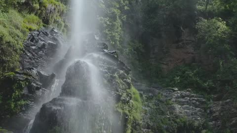 Waterfall in forest