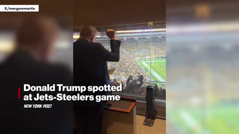 Donald Trump spotted at Jets-Steelers game