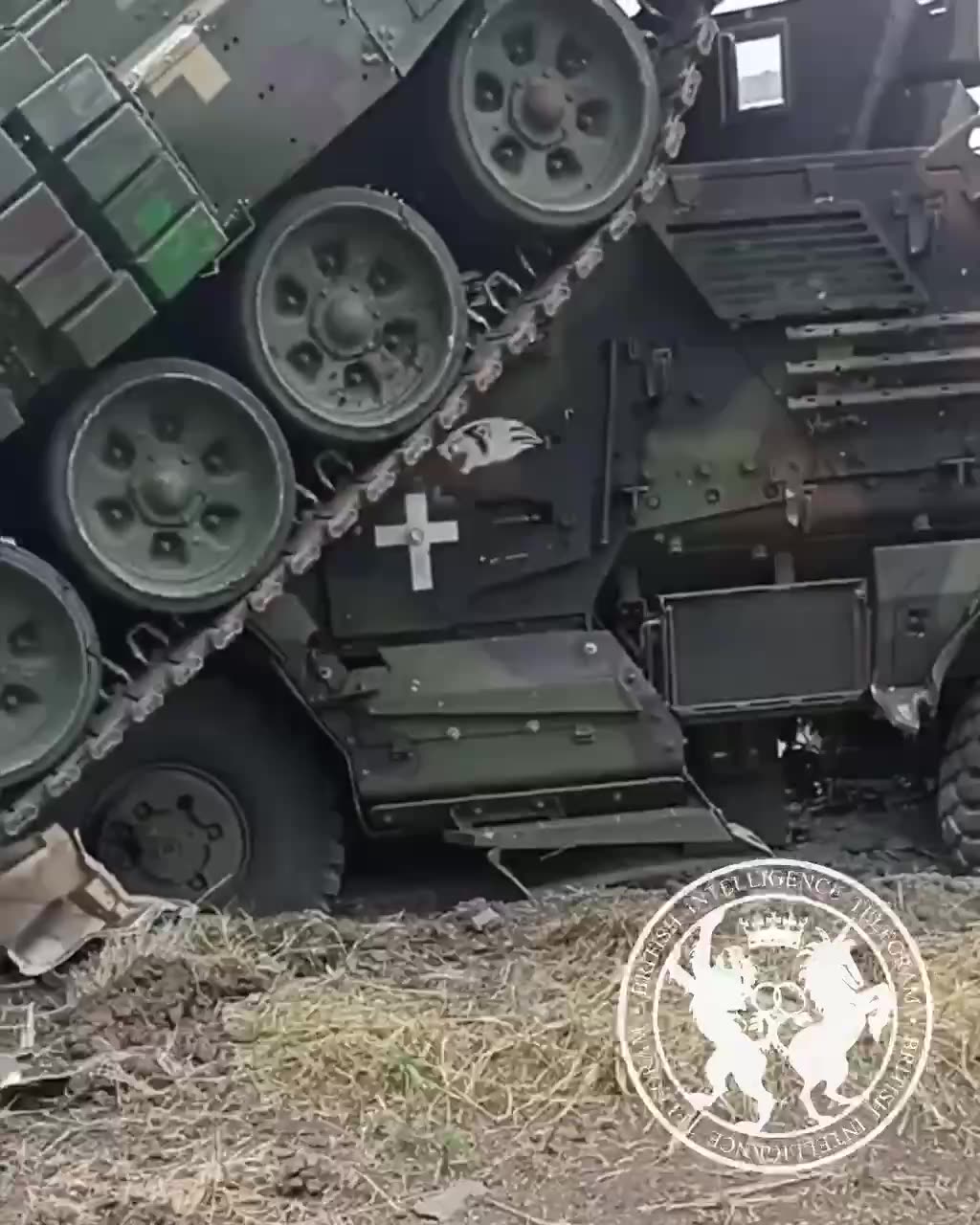 Zaporiyia counter-oink 🐷 offensive Ukro tanks mating season