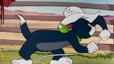 Tom and Jerry funny cartoon