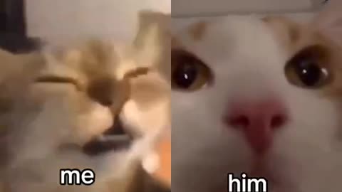 All Women's Stories Be Like