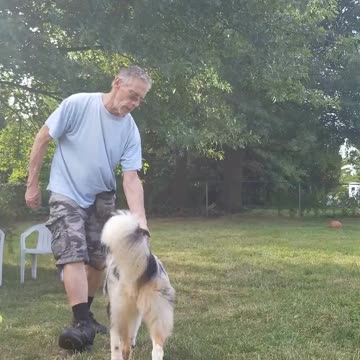 Ruff Cut PodCast Back to the Basics Lure and Reward part 5