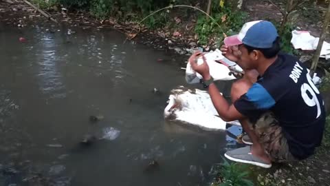 micro fishing in a tiny pond