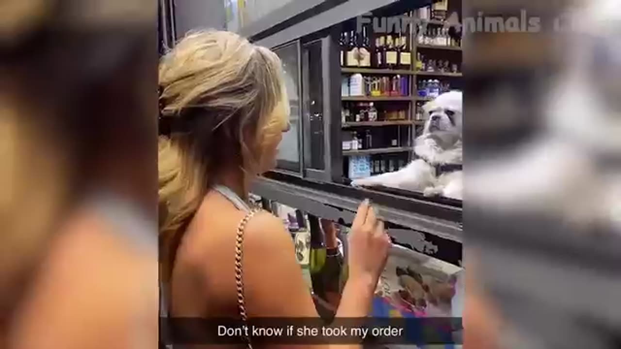 animals will always make our day