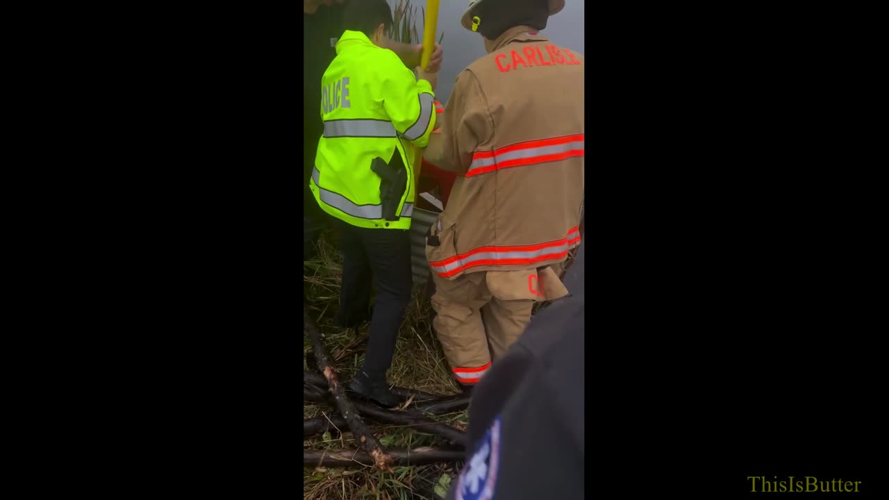 Police rescue drowning dog near cranberry bog in Carlisle