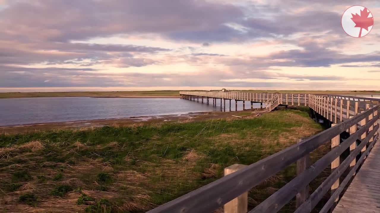 Admire the coastal beauty of New Brunswick with Canadian Sky