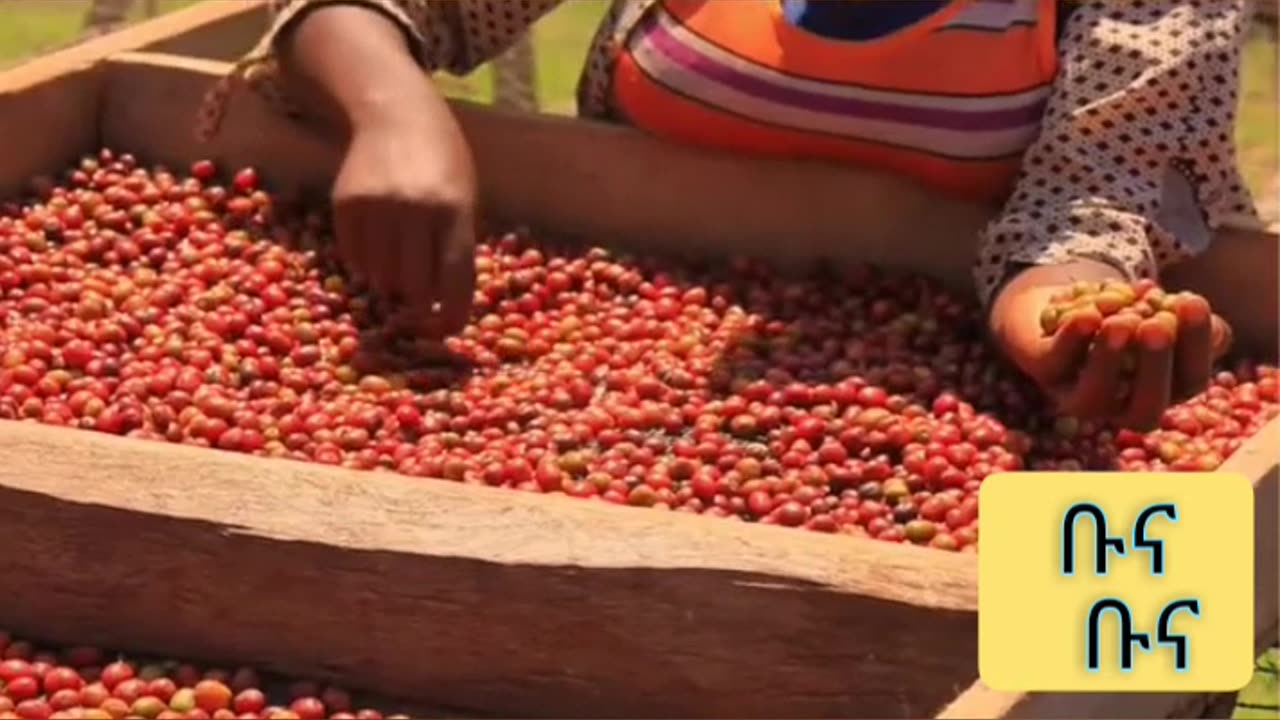 Ethiopian Coffee group song