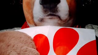 Chick-fil-A Relaunch Ad TAKE 4