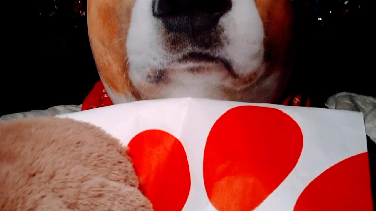 Chick-fil-A Relaunch Ad TAKE 4