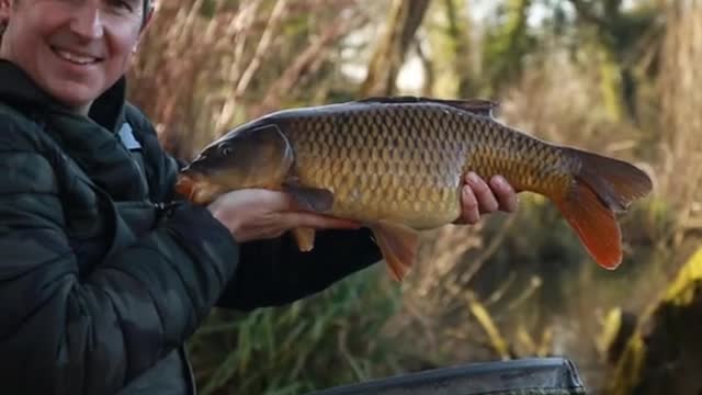 Phil on the method feeder, anyone get a bend in the rod recently