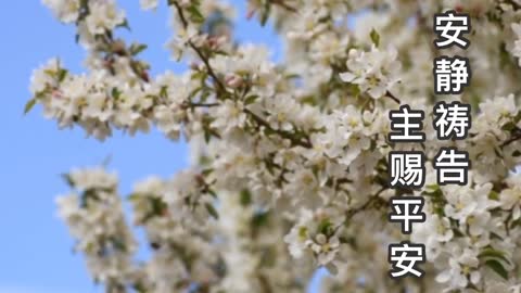 KY Cantonese Service 19 July 2020