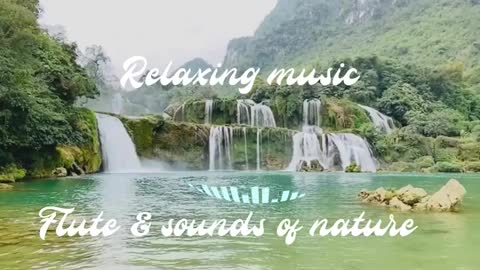 Relaxing Music | Sleeping, Meditation, Stress Relief | [6331] ⭐️
