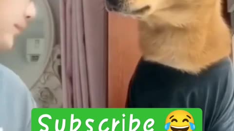 Funny video