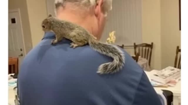 Good human. Every life matters❤️