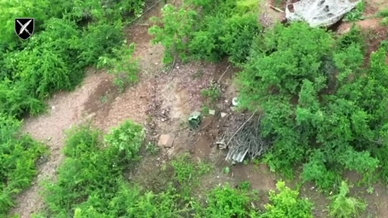 Kamikaze drones "Pegasus" harm the occupiers