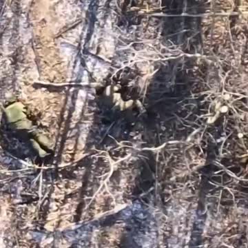 Russians Catching Shells