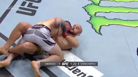 Merab Dvalishvili vs Marlon Moraes UFC Fight Highlights