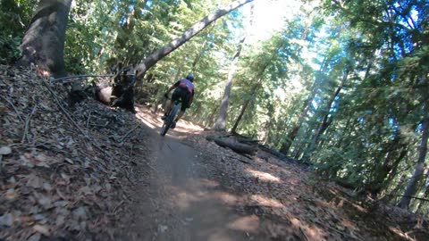OCT 4 SANTA CRUZ - FLOW 763 - Iron