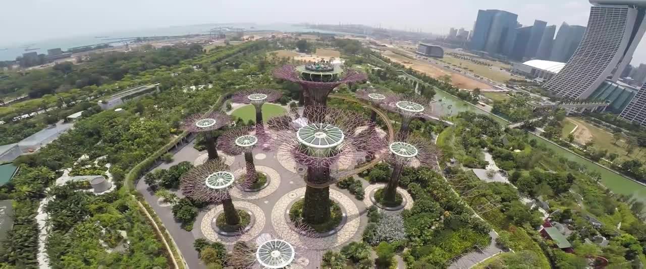 One Day in Singapore _ Expedia